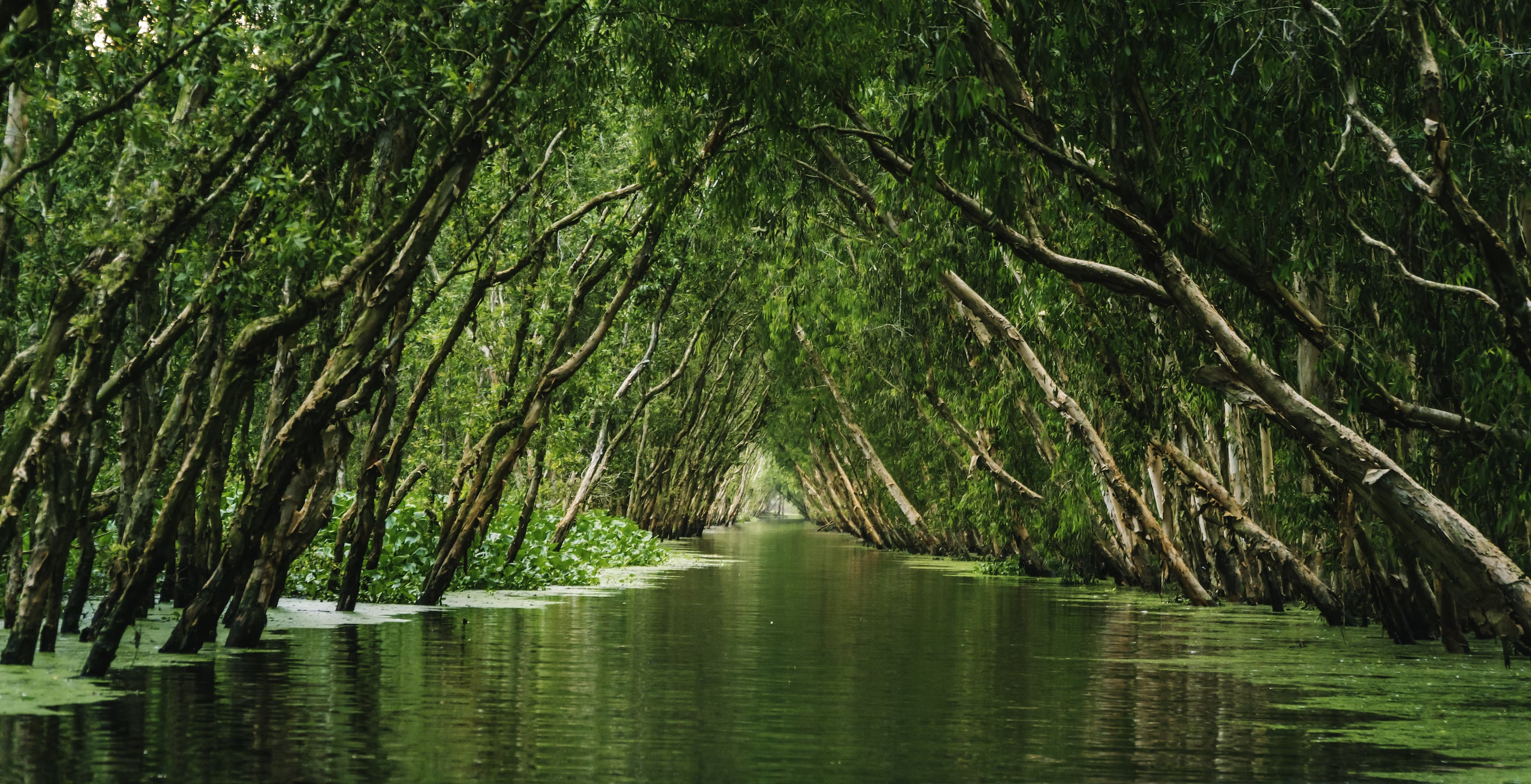 mekong delta things to do in vietnam