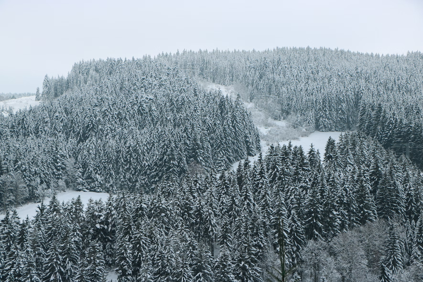 europe road trips the black forest