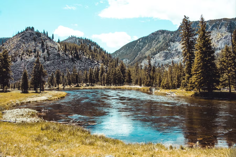 yellowstone national park