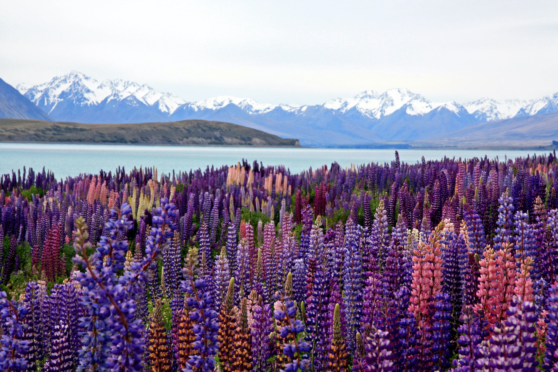 places in new zealand