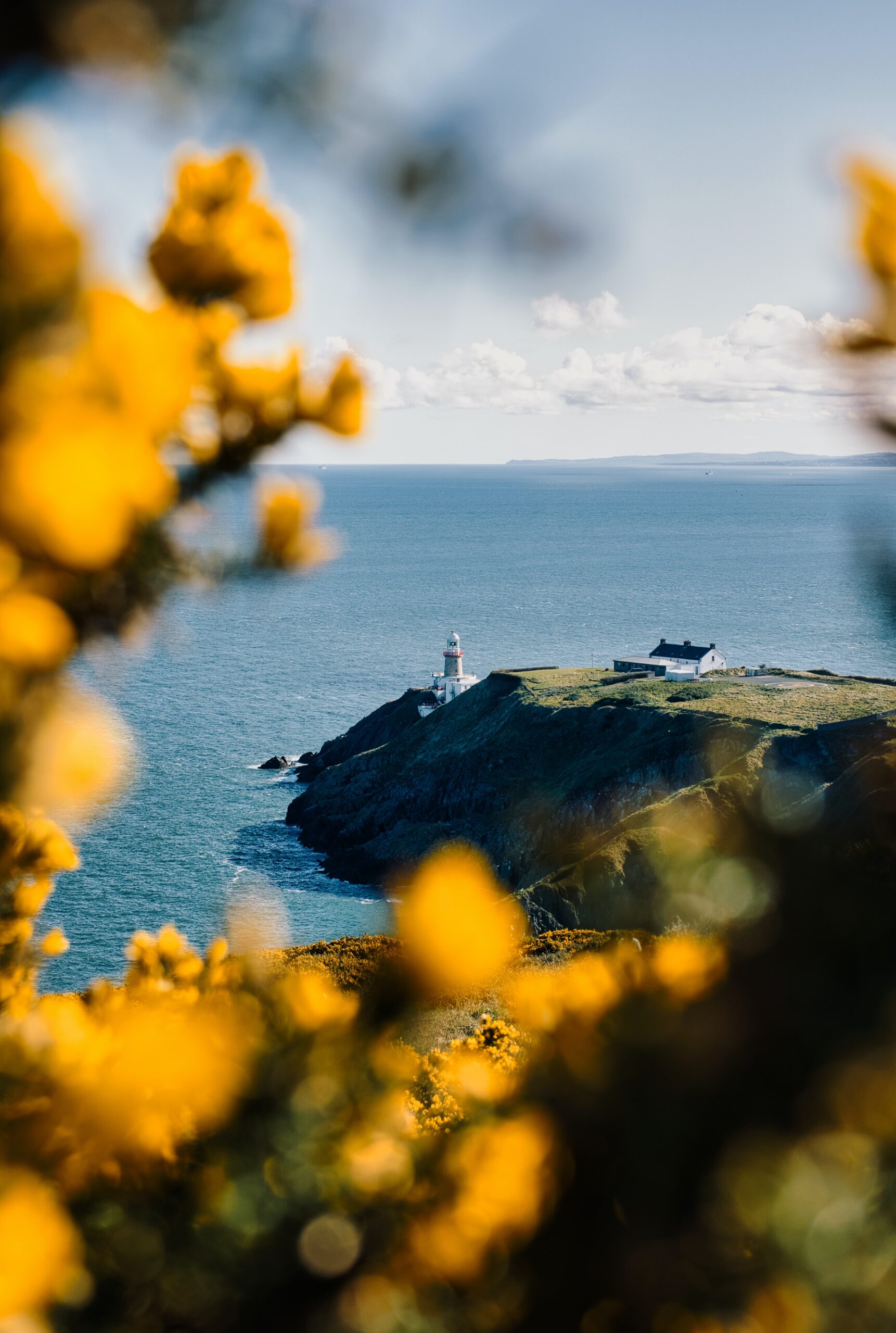 Howth Cliff Walk is one of the best things to do in Dublin