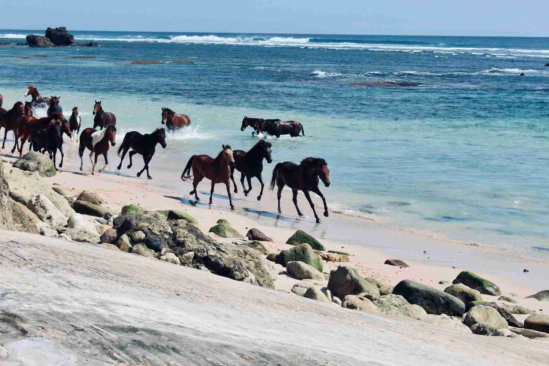 best places to visit in Indonesia Sumba Island