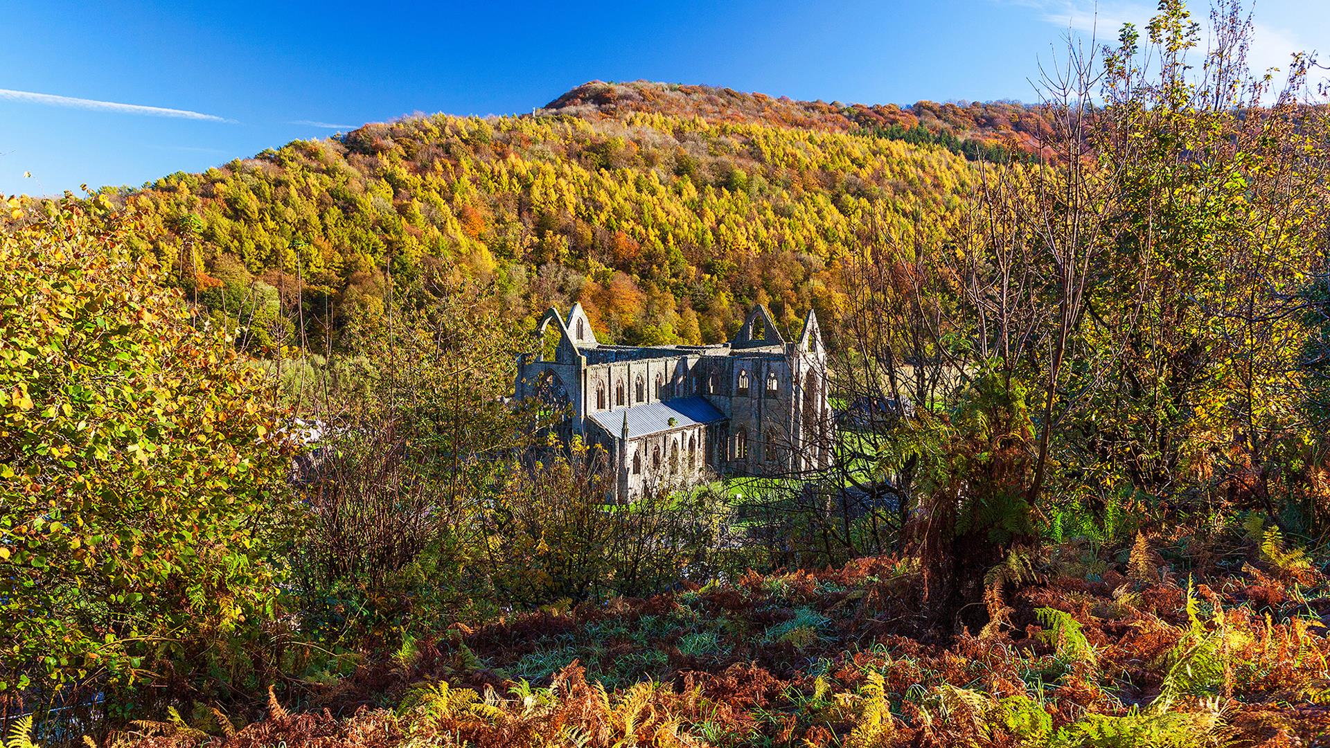 wye valley fall vacations