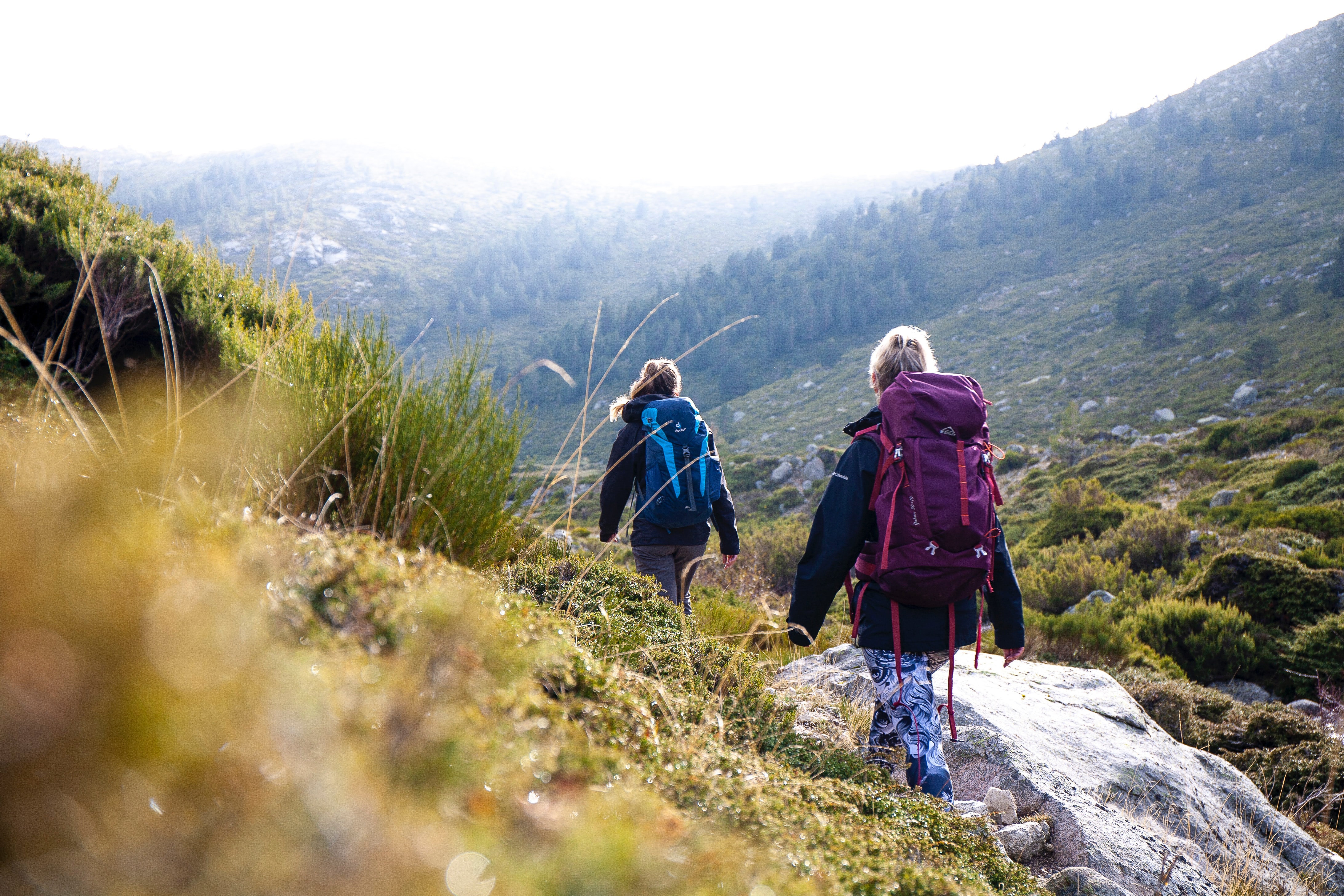 Two people hiking in hilly scenery