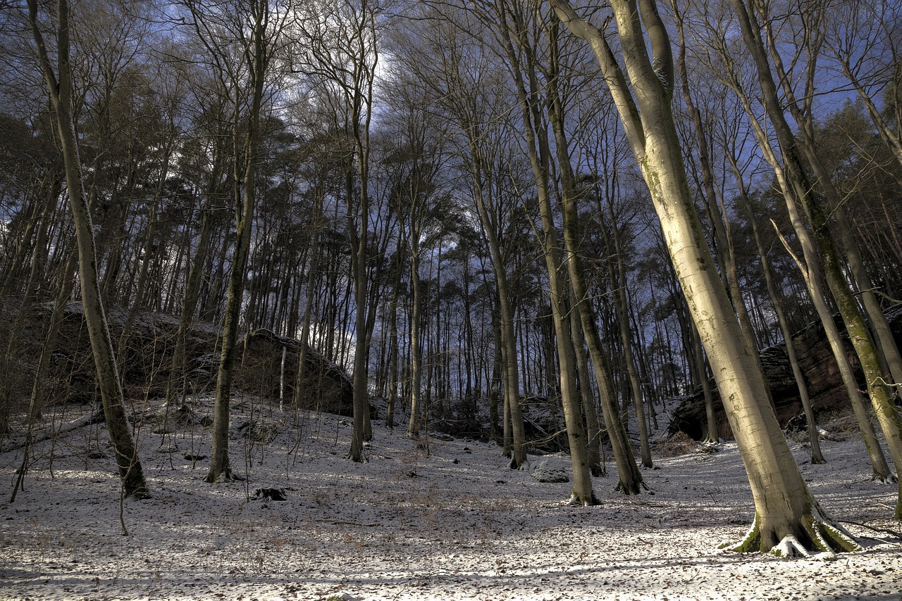 eifelsteig hiking trail in germany
