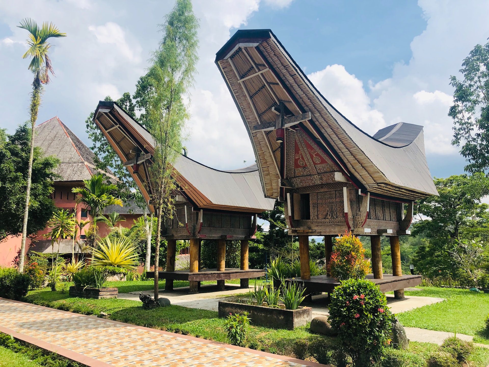 tana toraja best places to visit in Indonesia