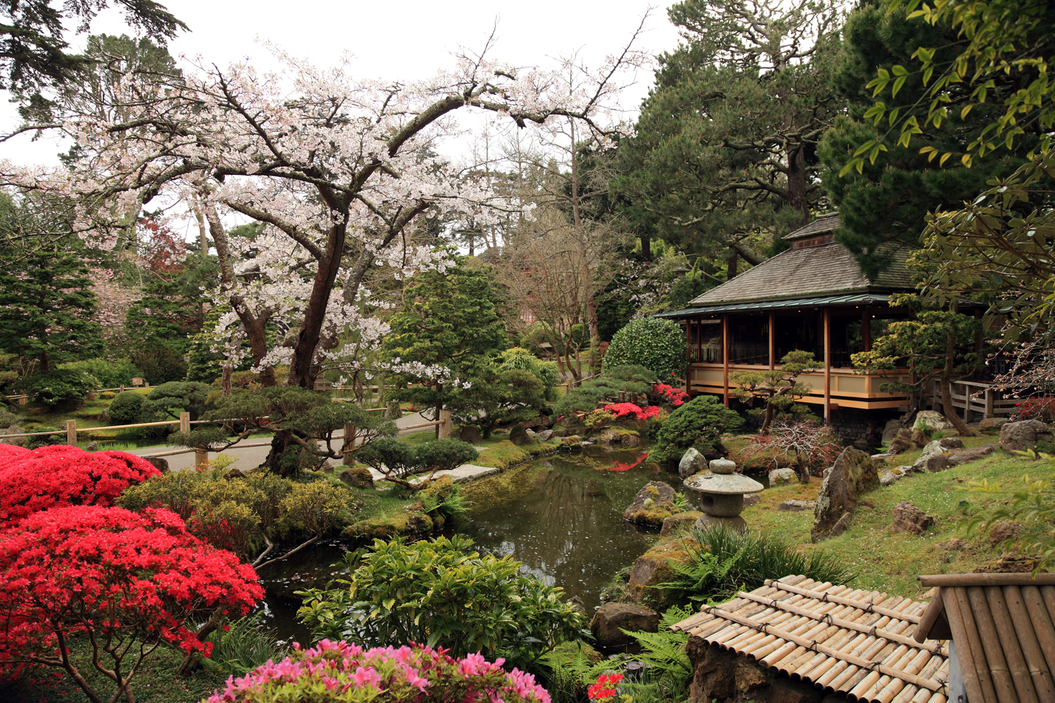 hidden gems in san francisco the japanese tea garden