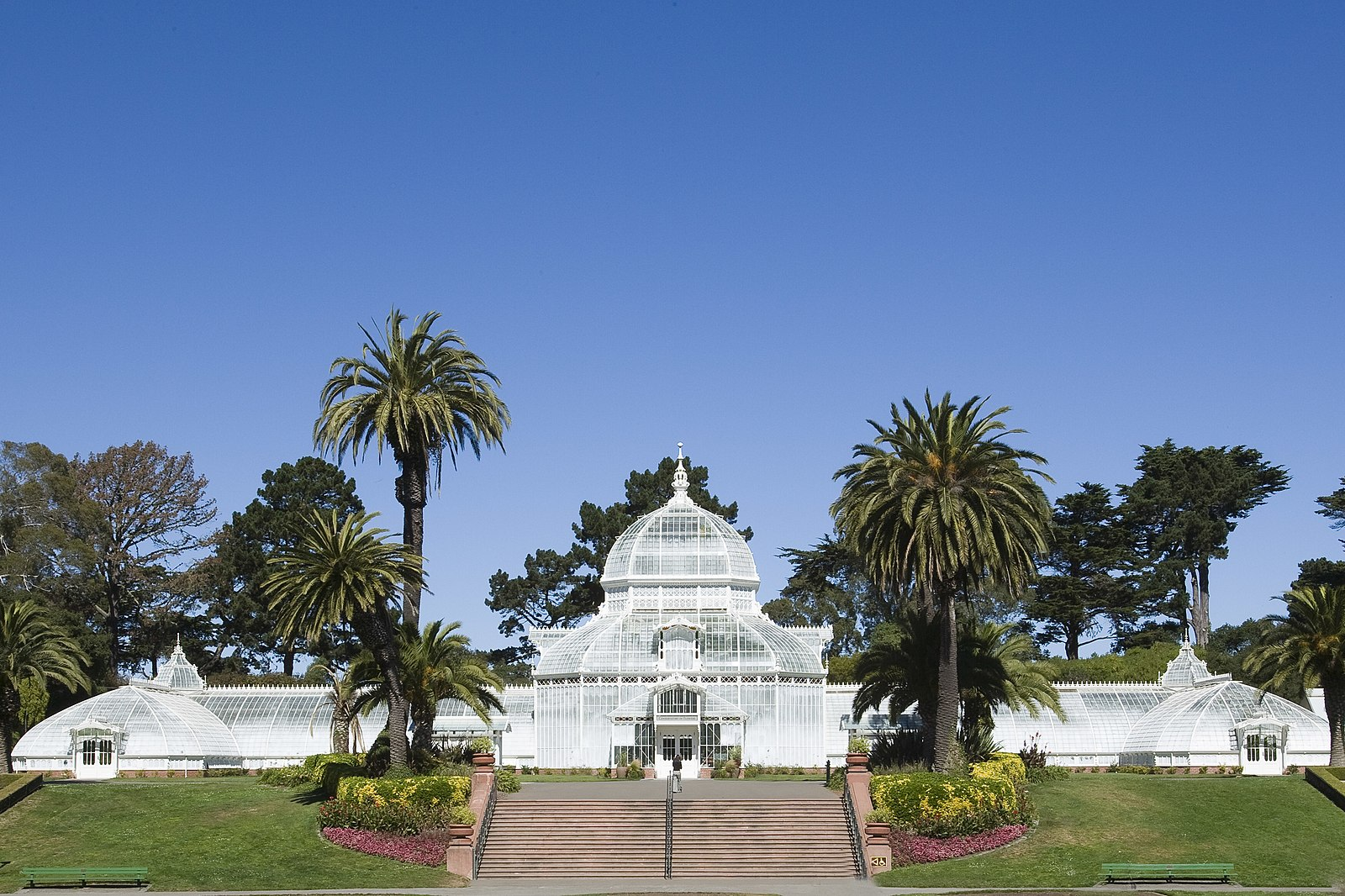 hidden gems in san francisco the conservatory of flowers