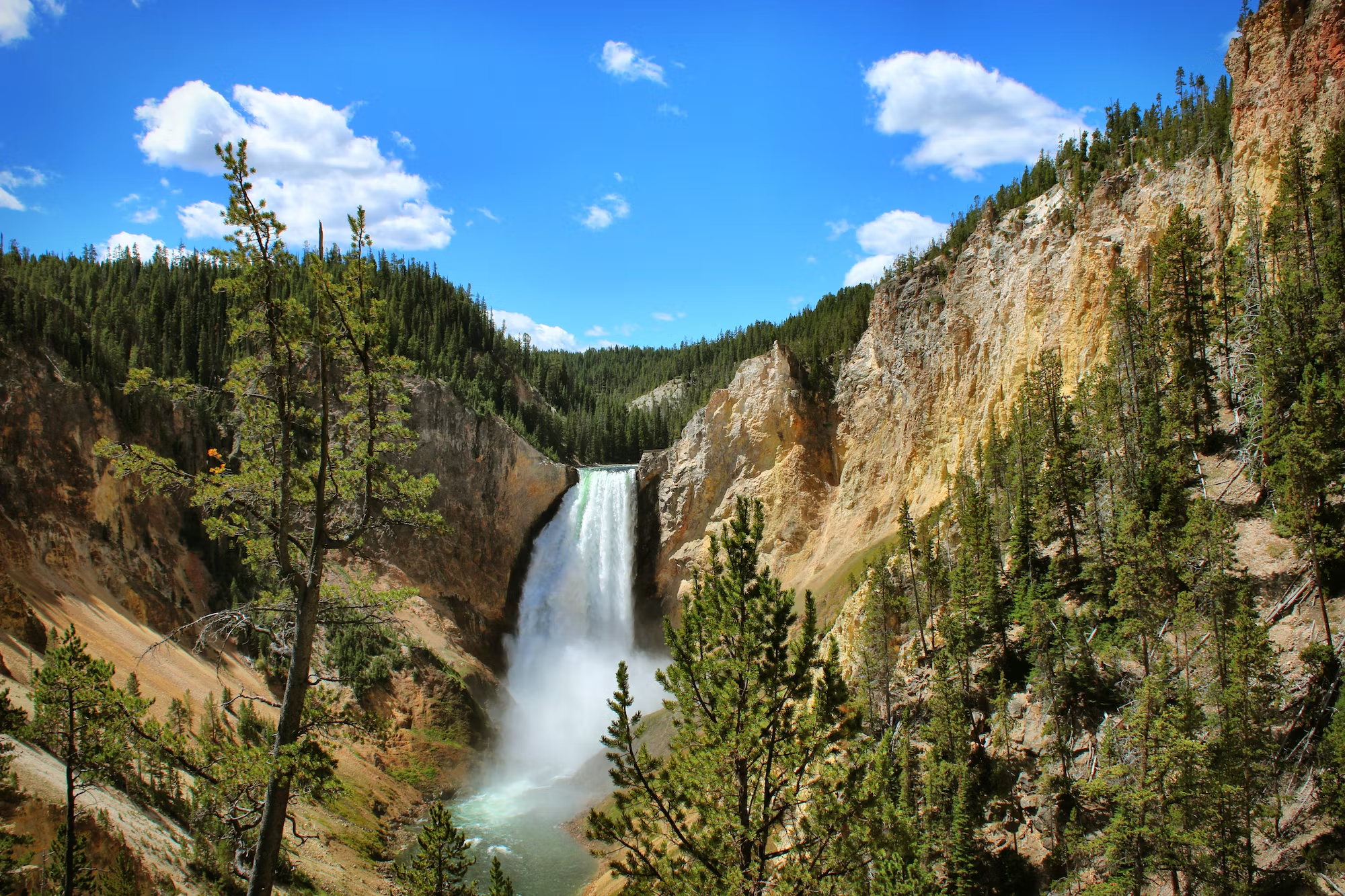 yellowstone national park