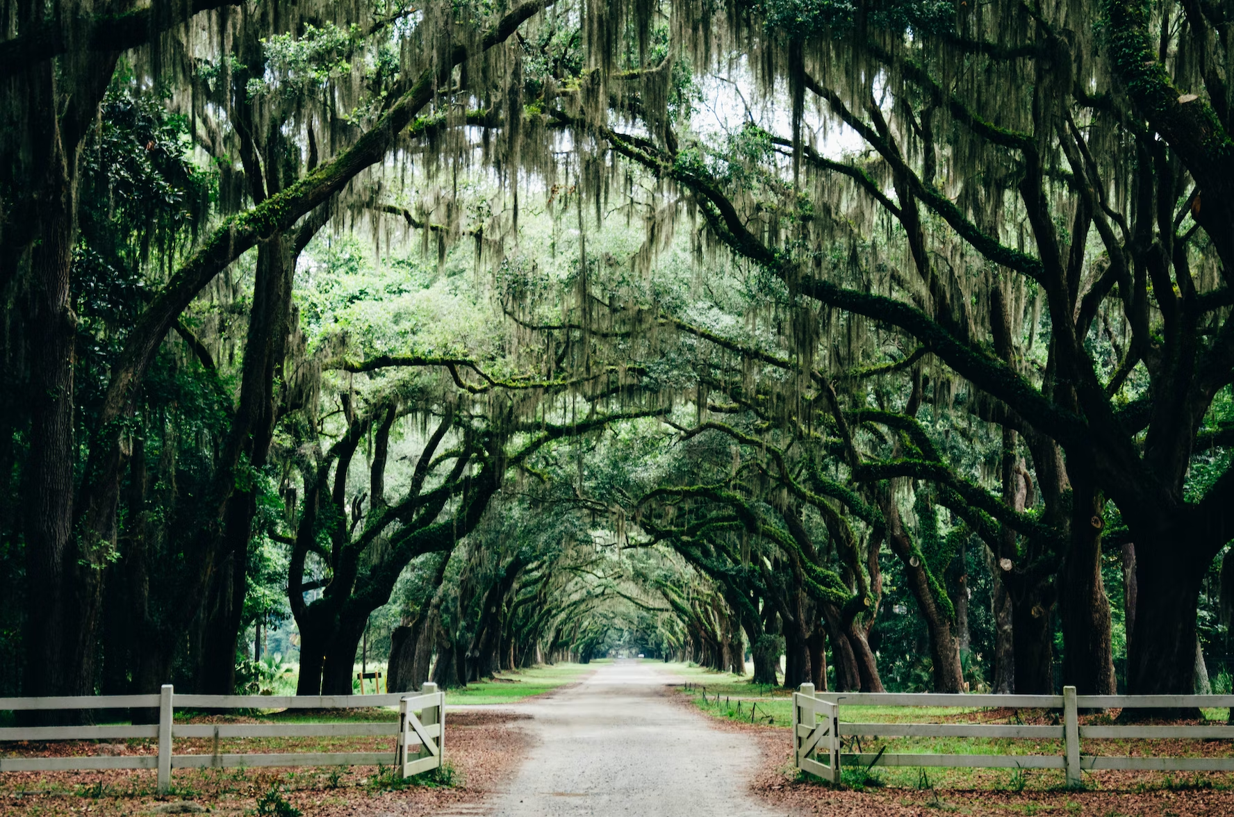 savannah places in the us