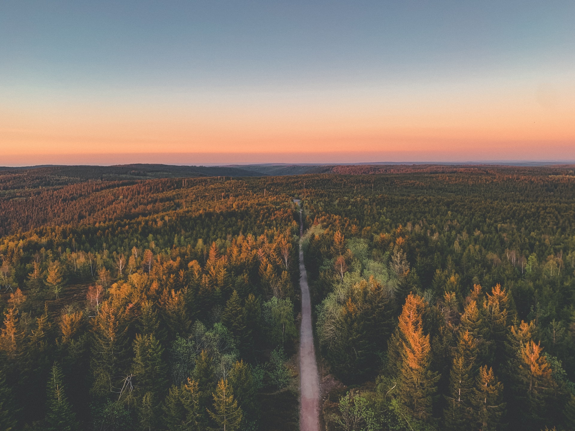 black forest best hiking spots in germany