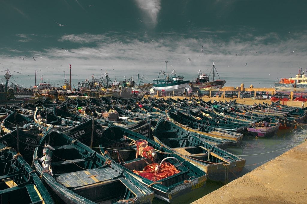 Boats in the harbor of Essaouira in Morocco