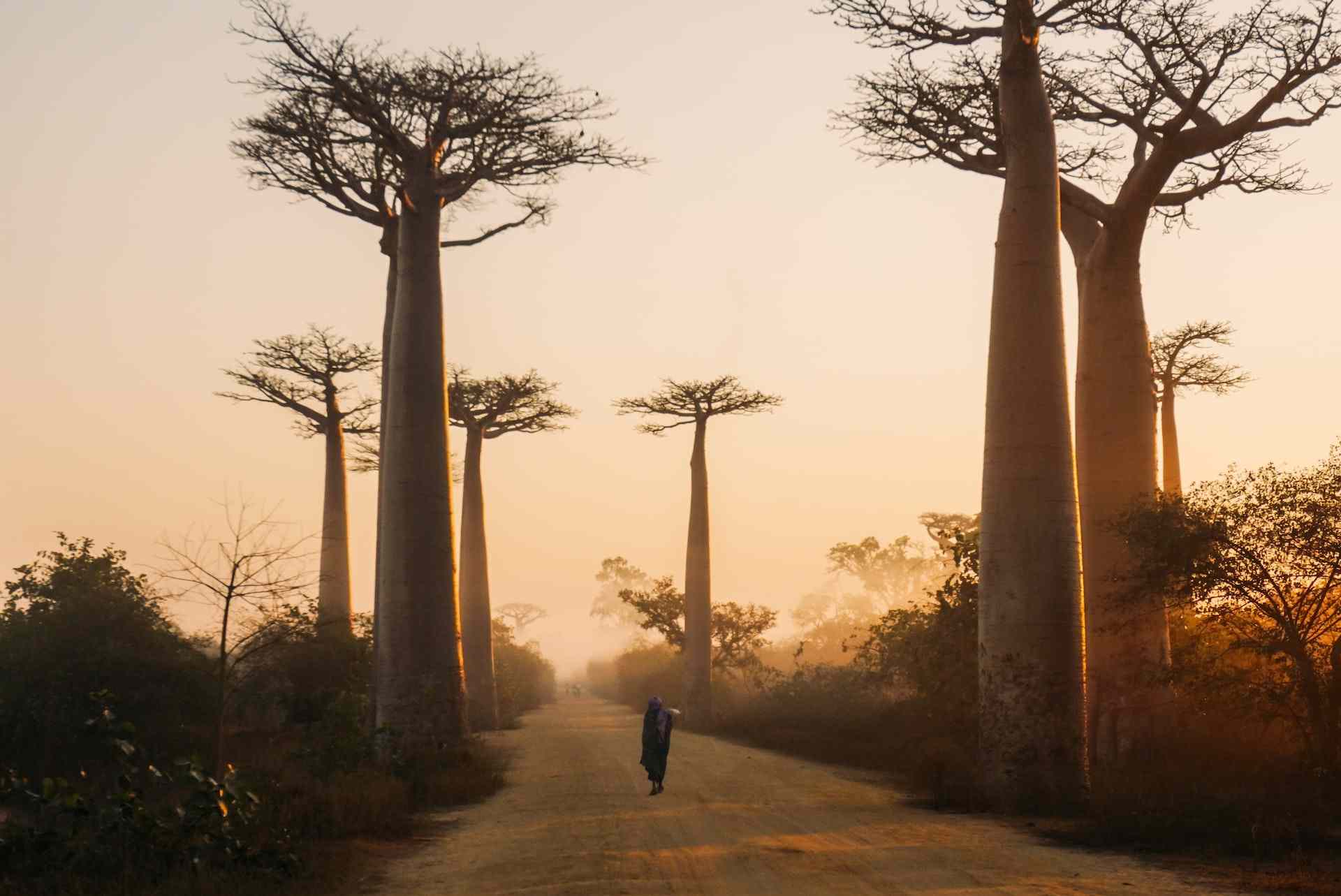 underrated travel destinations Madagascar