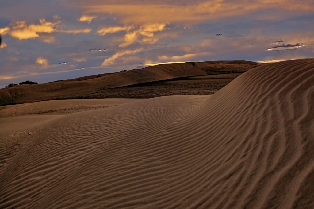 desert landscape in Maspalomas canary islands