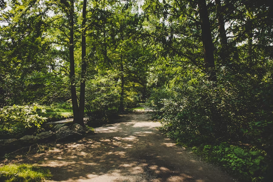 arnold arboretum hidden gems in boston