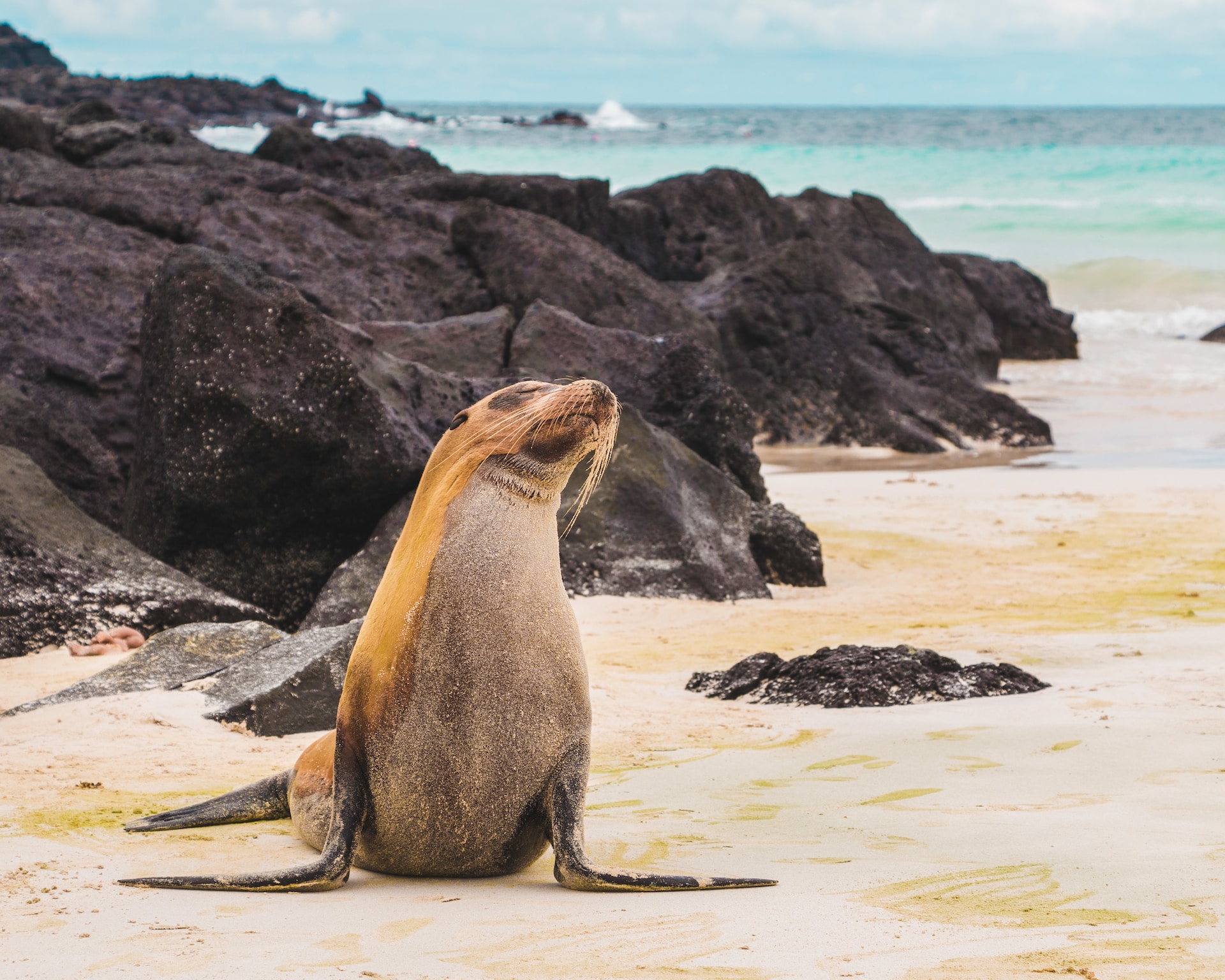 Galapagos Island best places to visit in March 