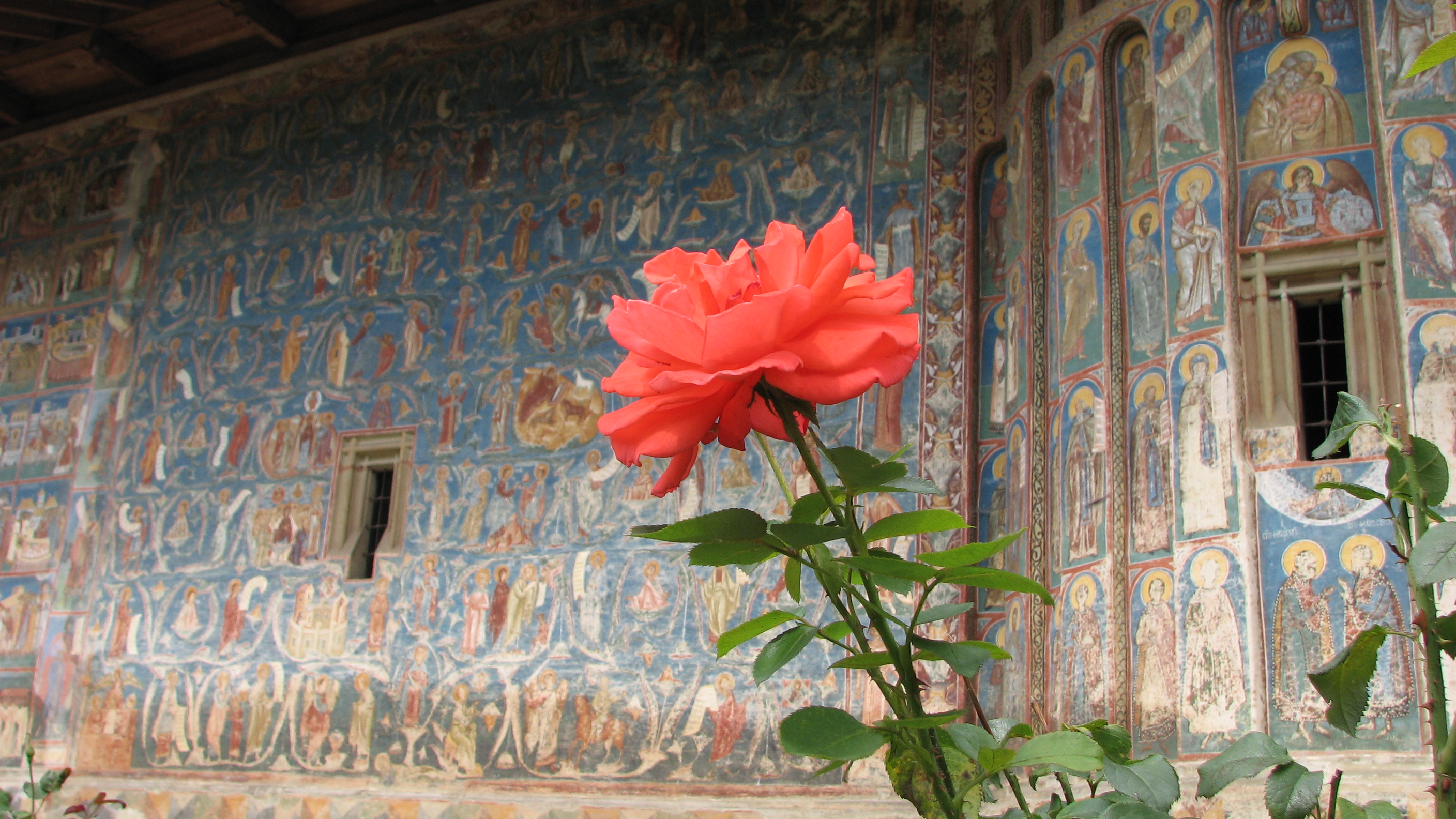painted monasteries of bucovina