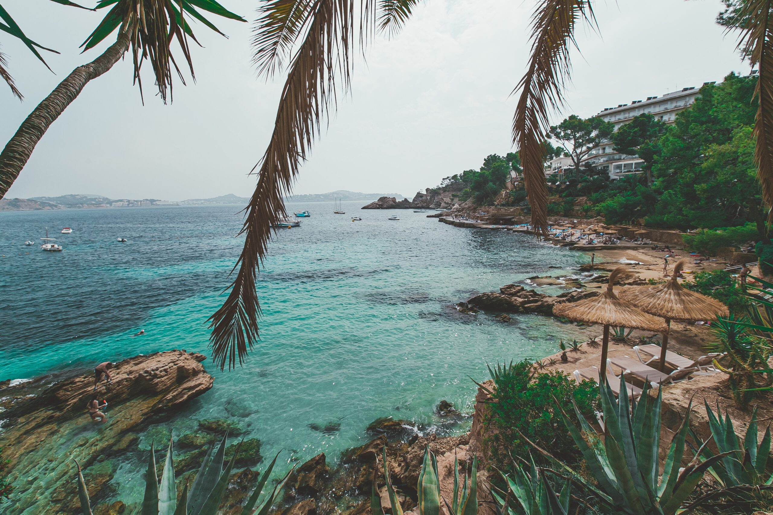 Mallorca in Spanien ist eins der besten Reiseziele im August. Hier sieht man eine Bucht mit Palmen und Strandliegen.