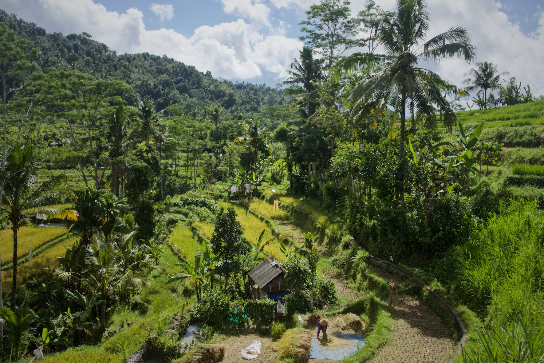 sidemen valley hidden gems in bali