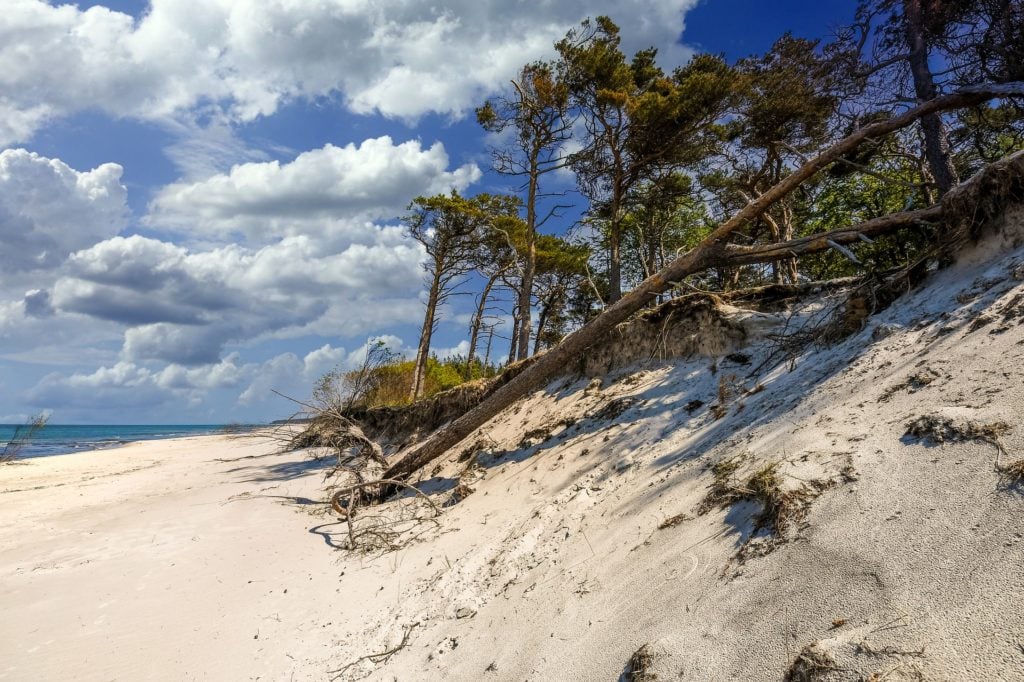 Baltic Sea beach, with blue skies, sand, and trees Destinations in Germany for Autumn 2023
