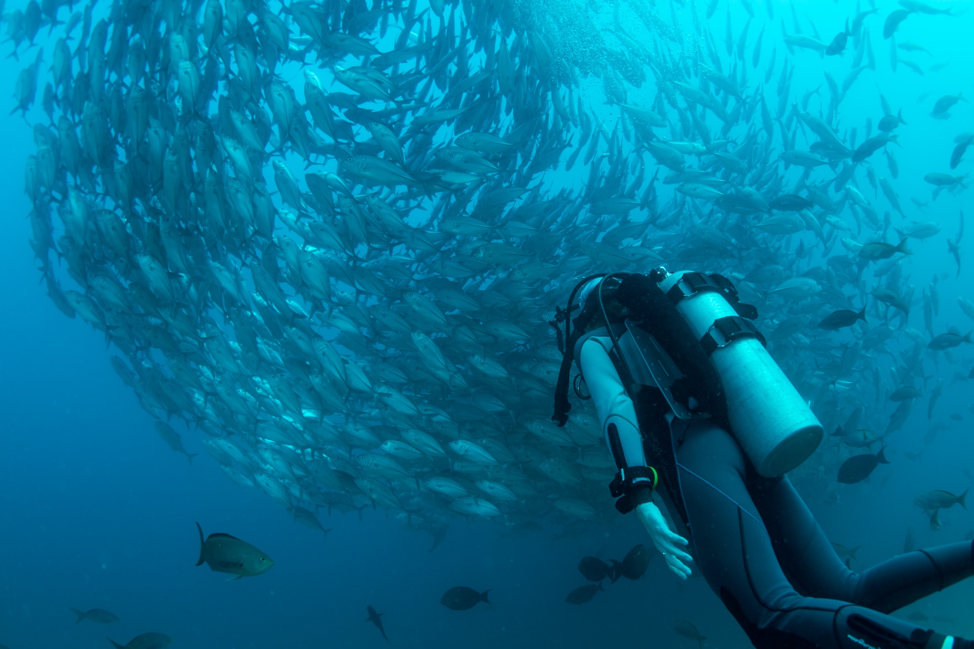 Mexico hidden gems Cabo Pulmo 