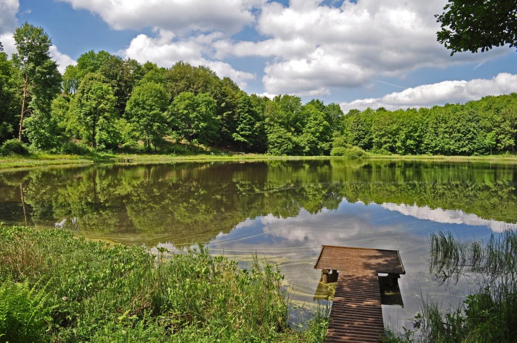 A lake formed by an explosion surrounded by trees Destinations in Germany for Autumn 2023