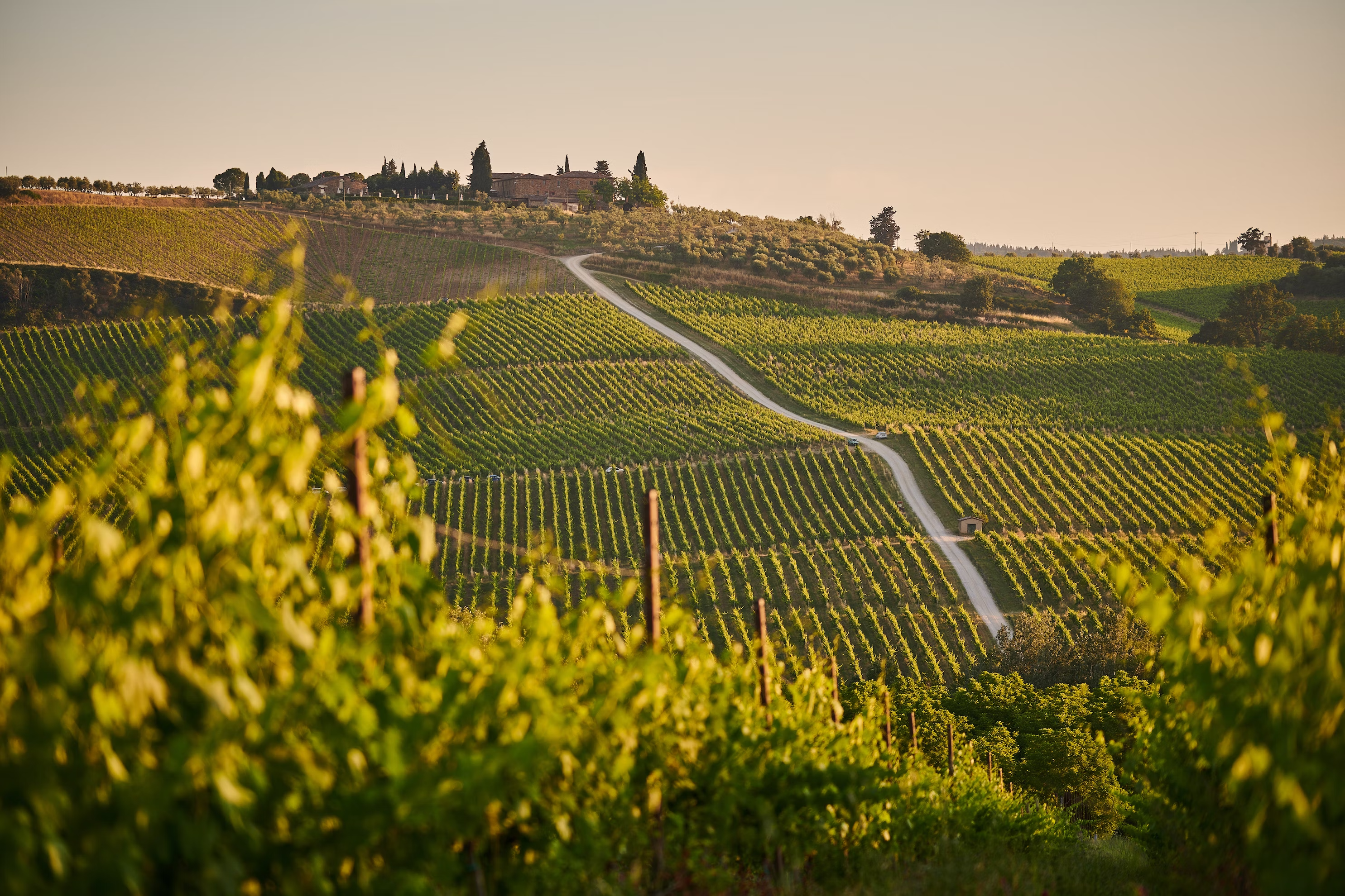 tuscany italy vineyard tours