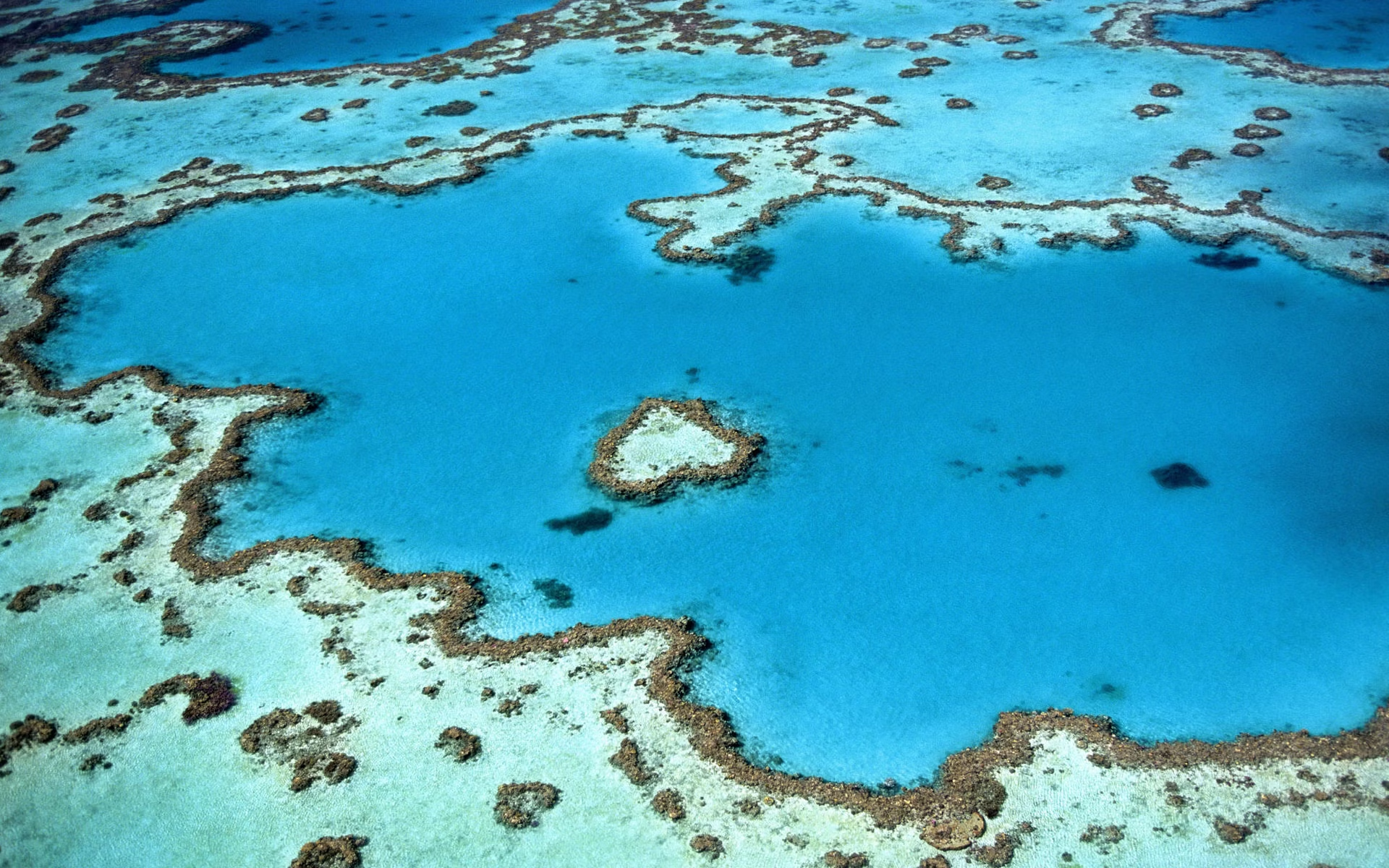 the great barrier reef australia