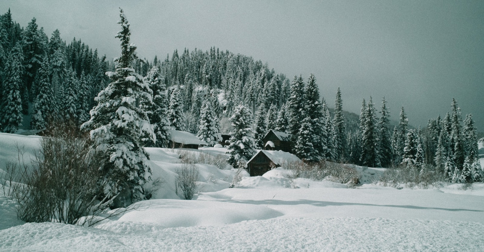 Dunton Colorado winter vacations in the US