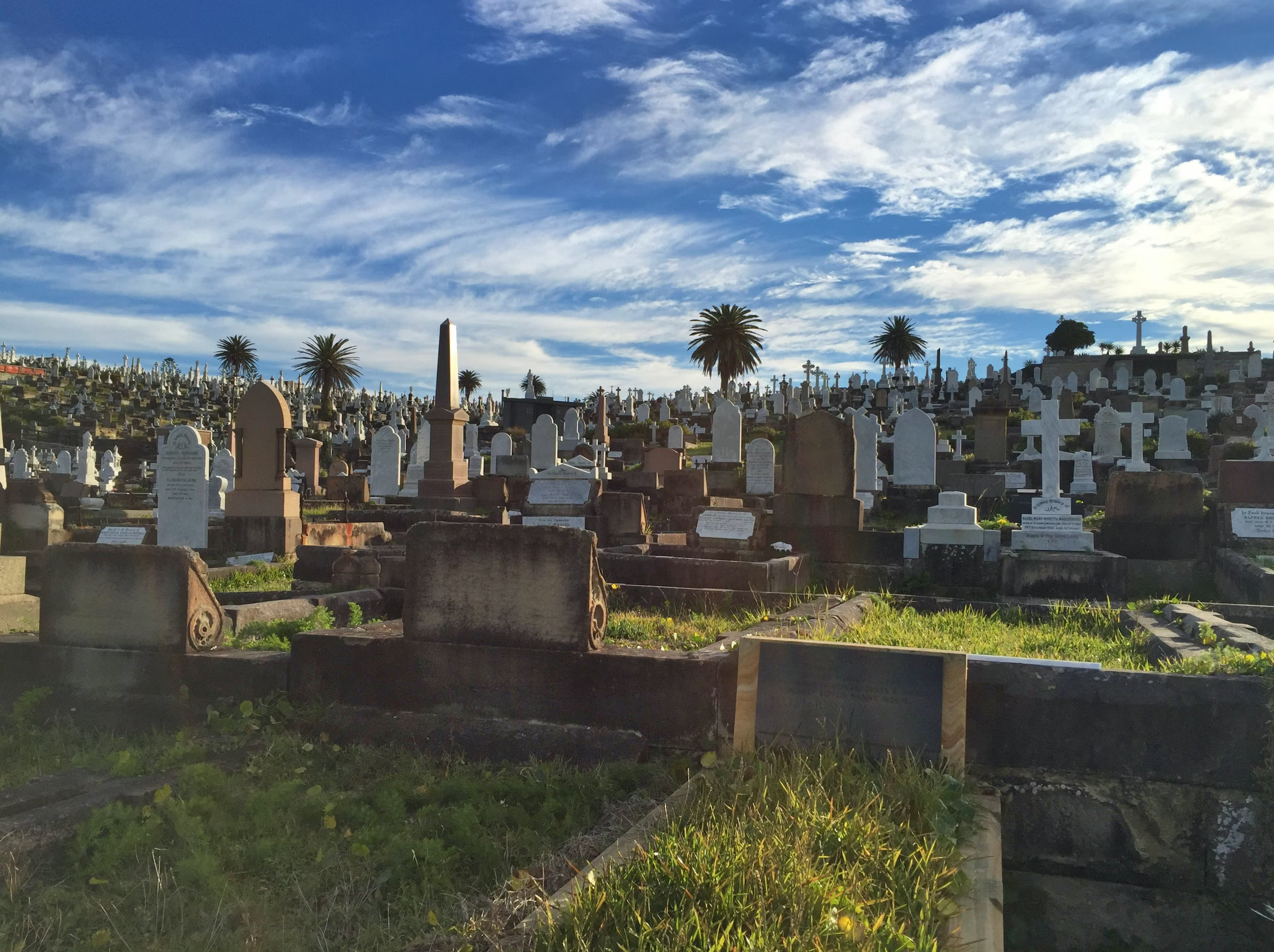 waverley cemetery cemetery tours