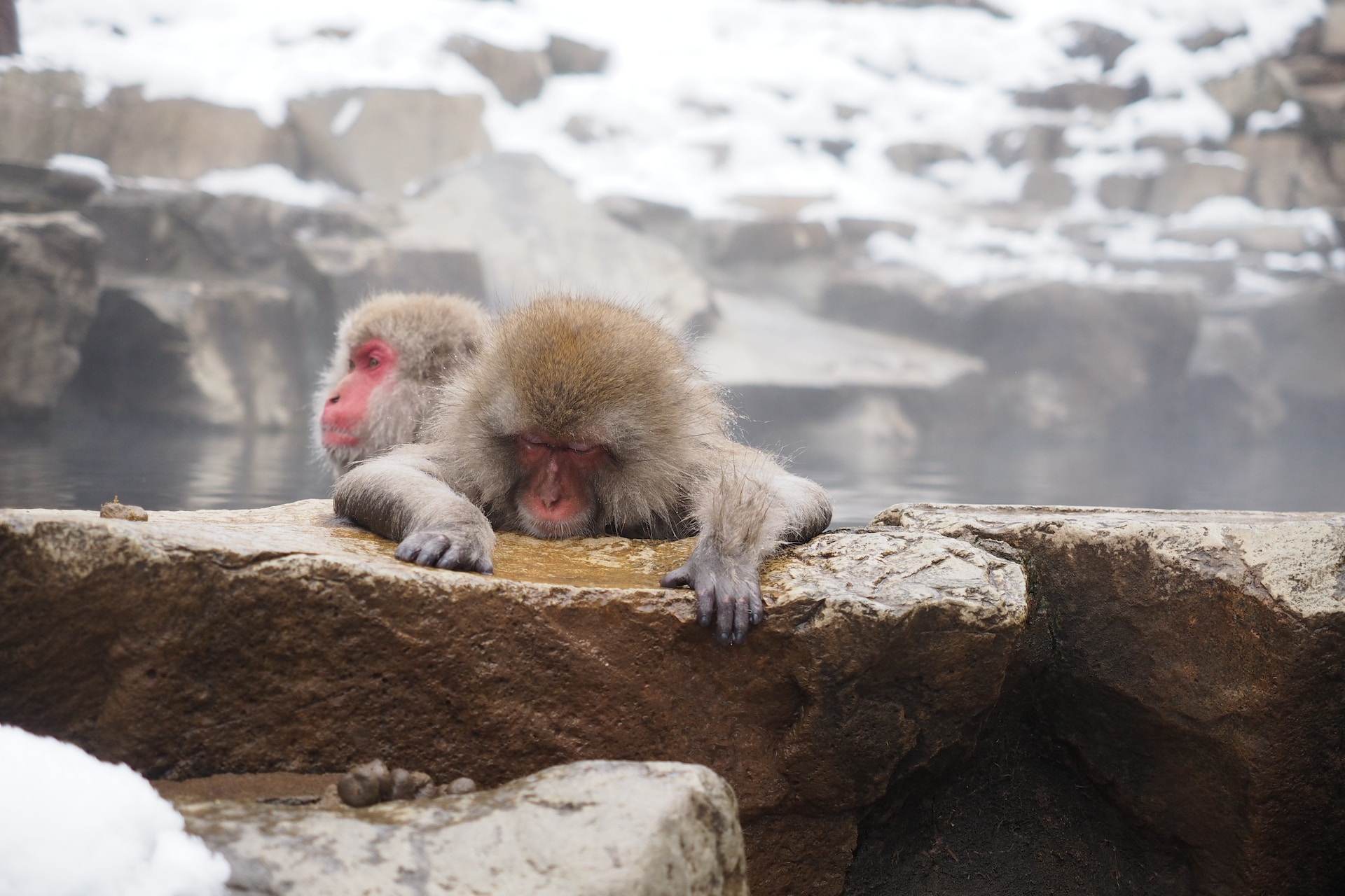 winter in Japan best places 