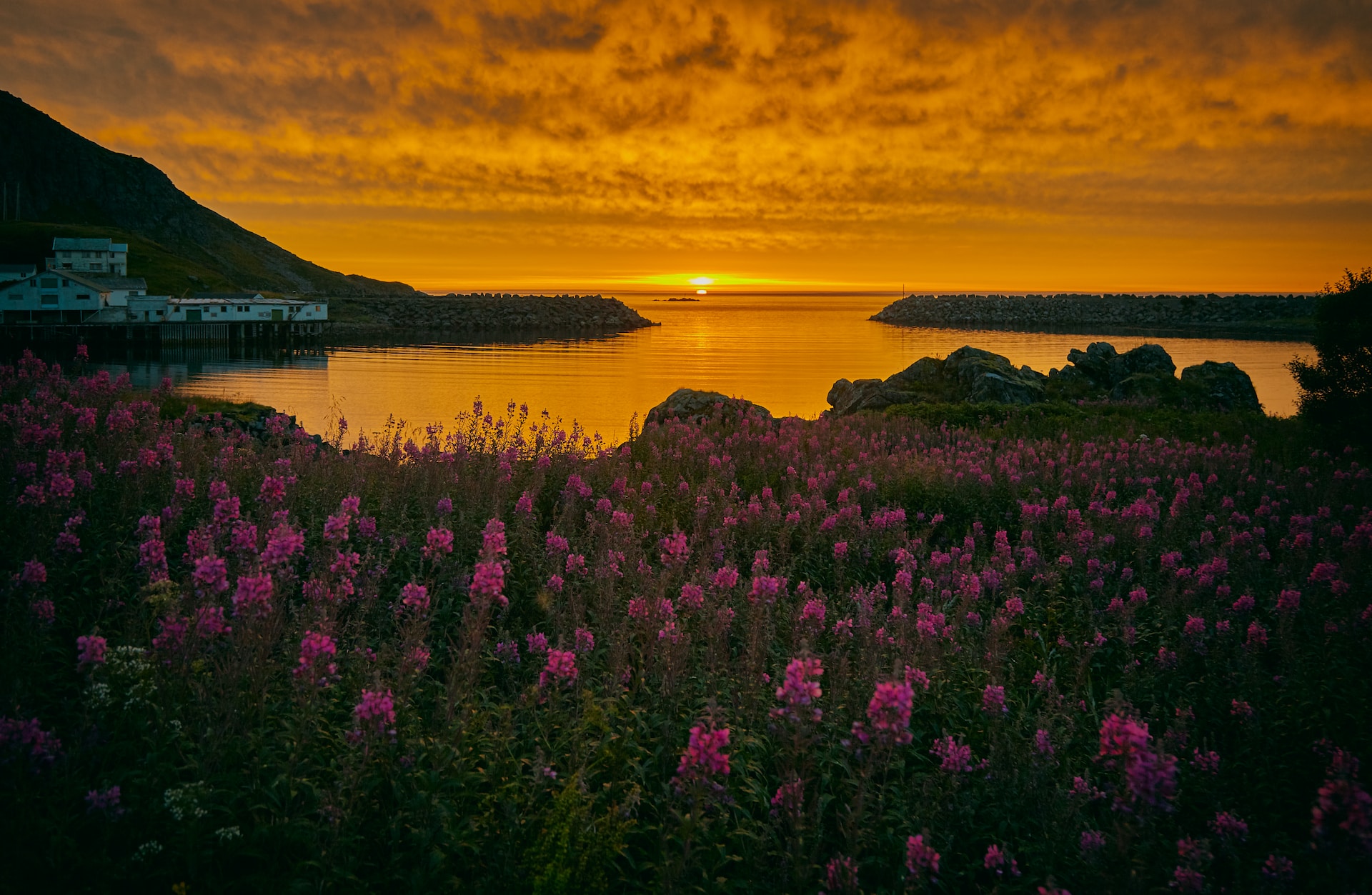 where to see the midnight sun