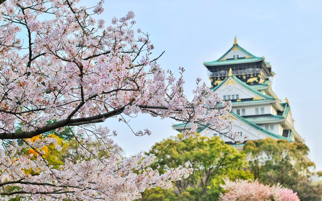 The Essential Guide to Spring in Japan (2024)