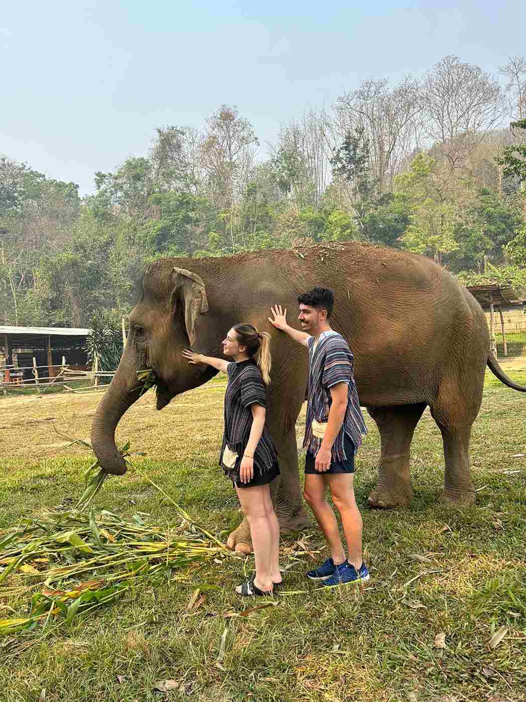 Thailand or Bali elephants
