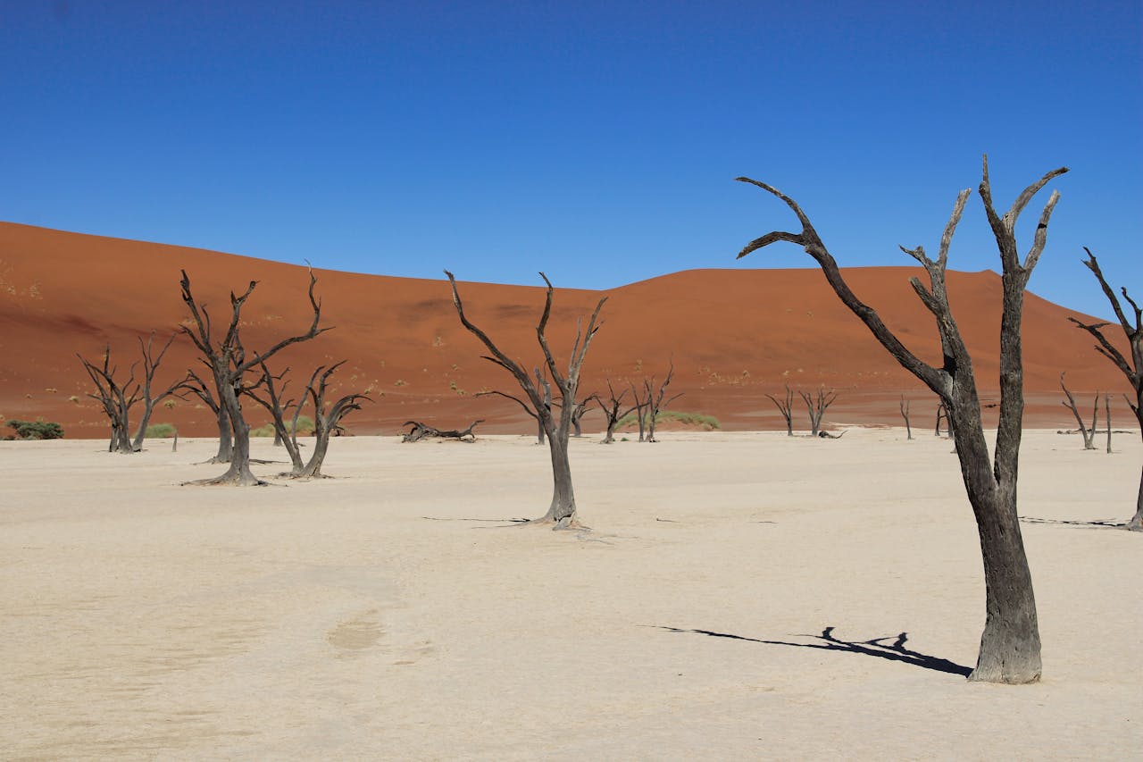Namibia best places to travel for young adults 