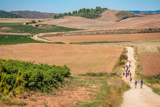 Camino de Santiago