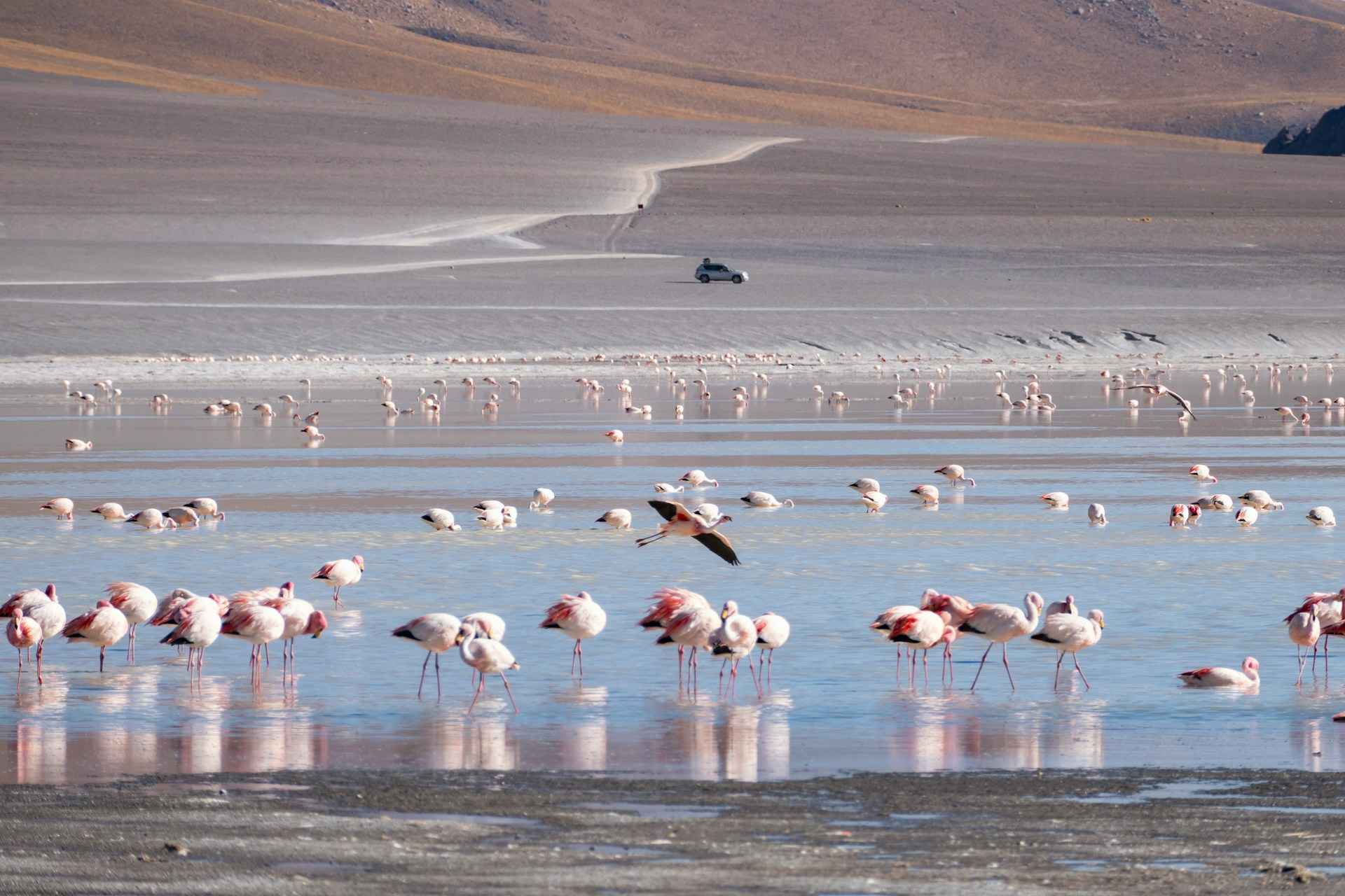 winter destinations in South America Bolivia
