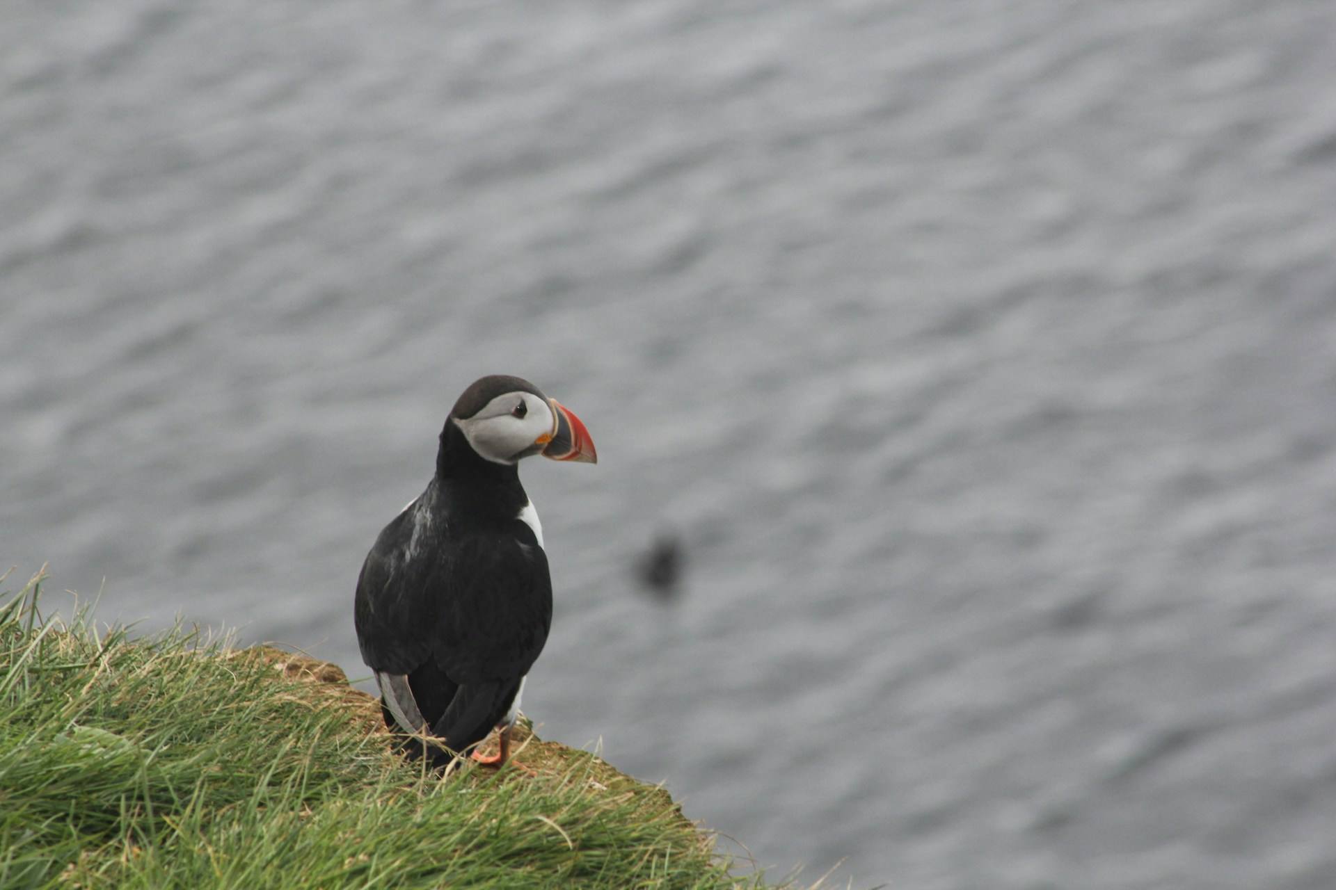 Grimsey Iceland Arctic Circle destinations