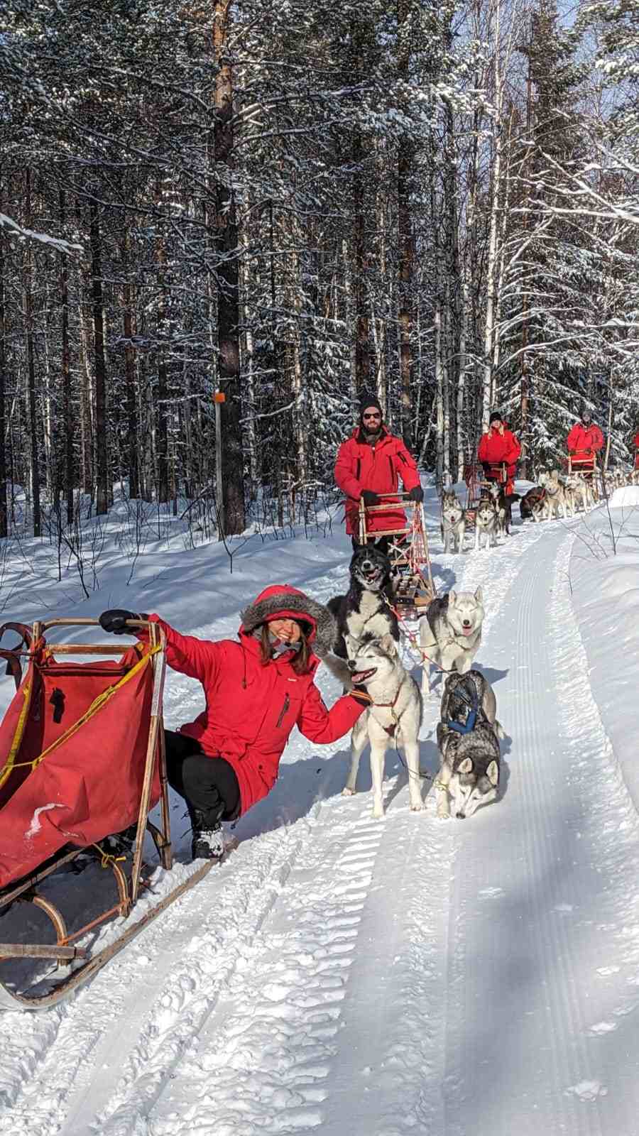 Sweden in winter snowy
