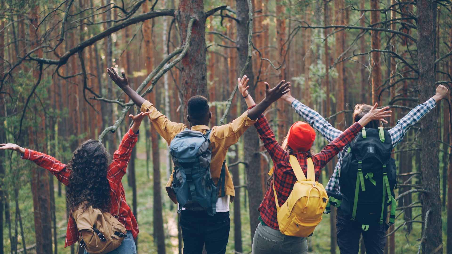 tips for joining solo travel groups for beginners