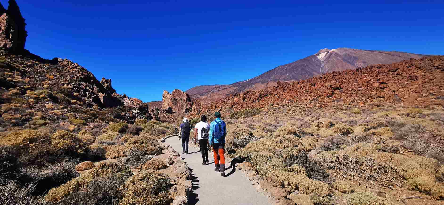 Volcano Park Tenerife Azores or Canary Islands comparison