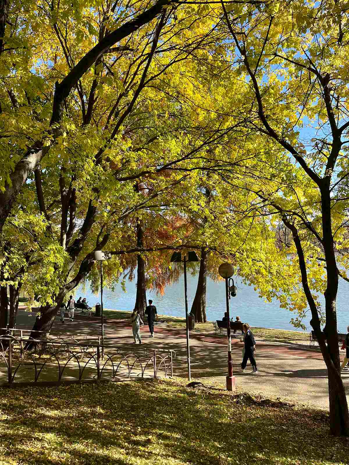 best things to do in Bucharest