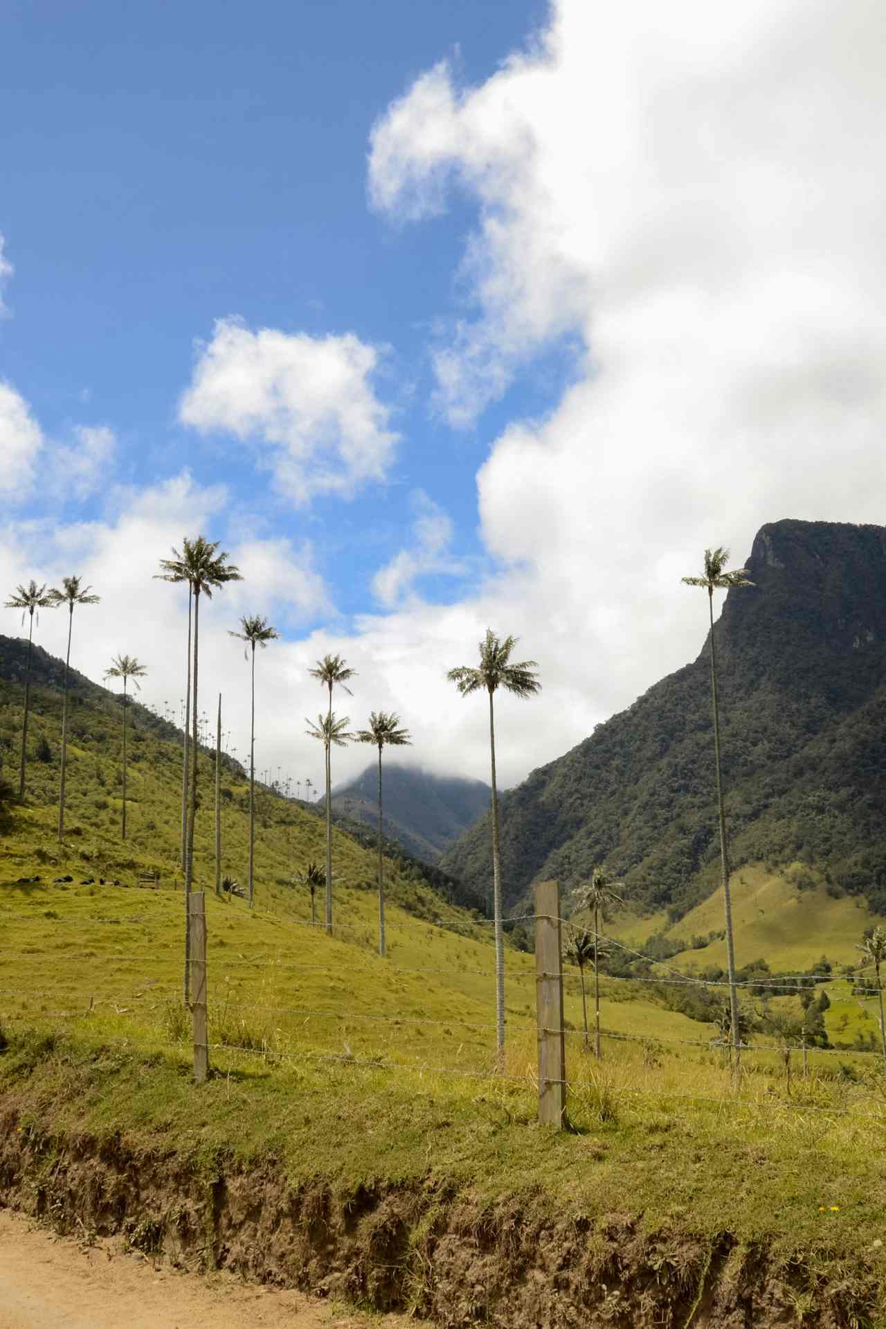Colombia or Brazil landscapes