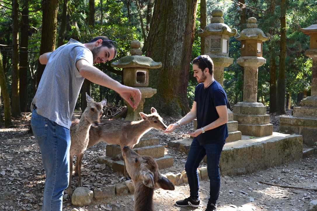 how to book group tours demographic