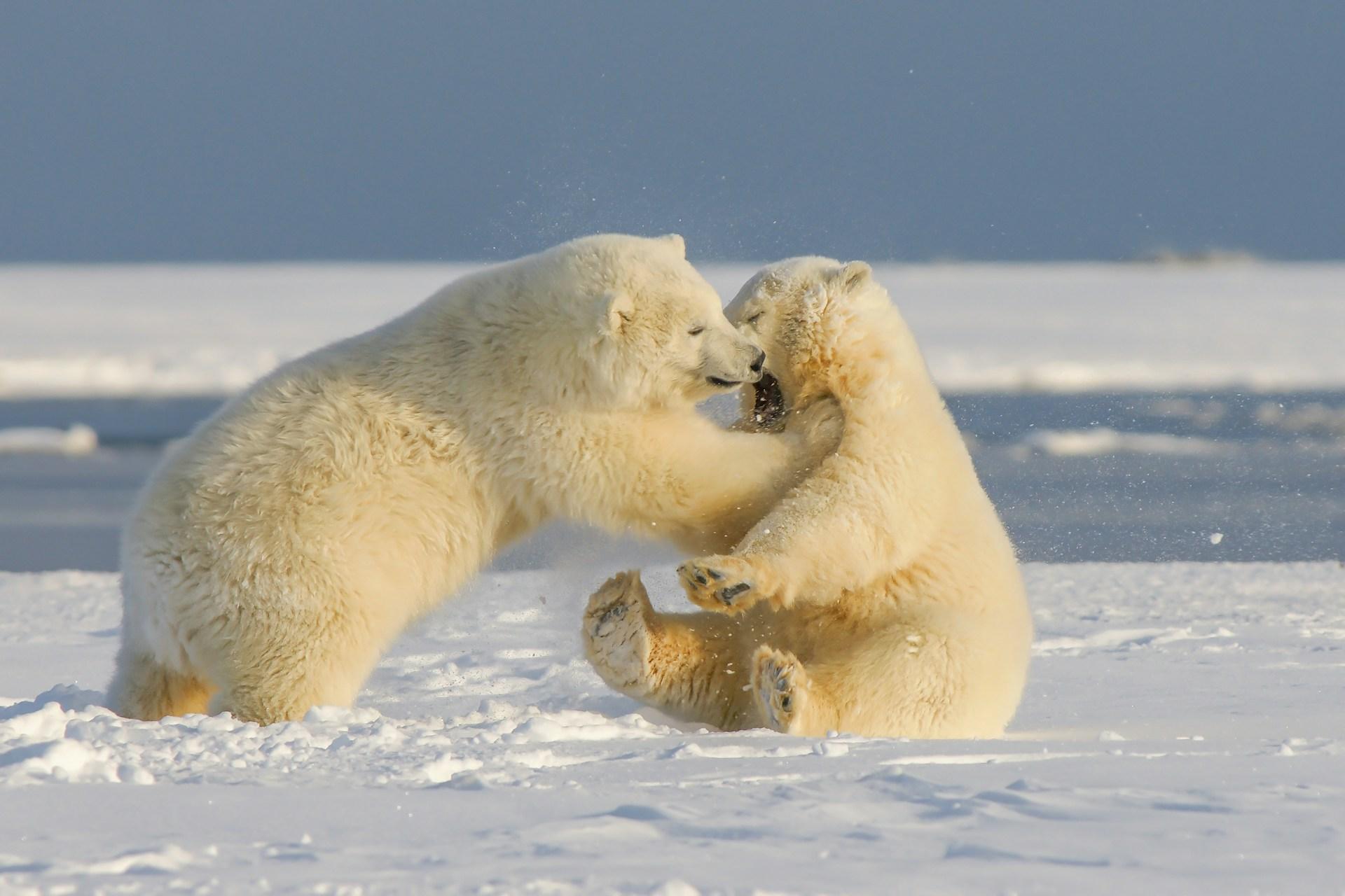 Polar adventures group tours Norway with G Adventures